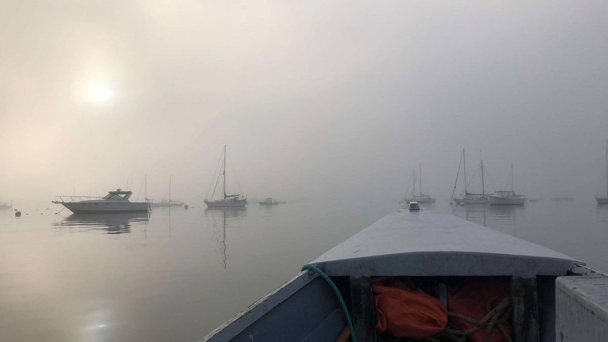 Exploring the Maine Coast: Where Inspiration Awaits
