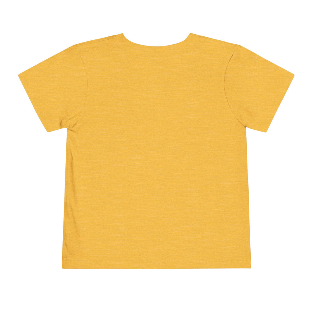 Toddler Tee — 'Brine Academy Est. 2026' Vintage School Kids Shirt