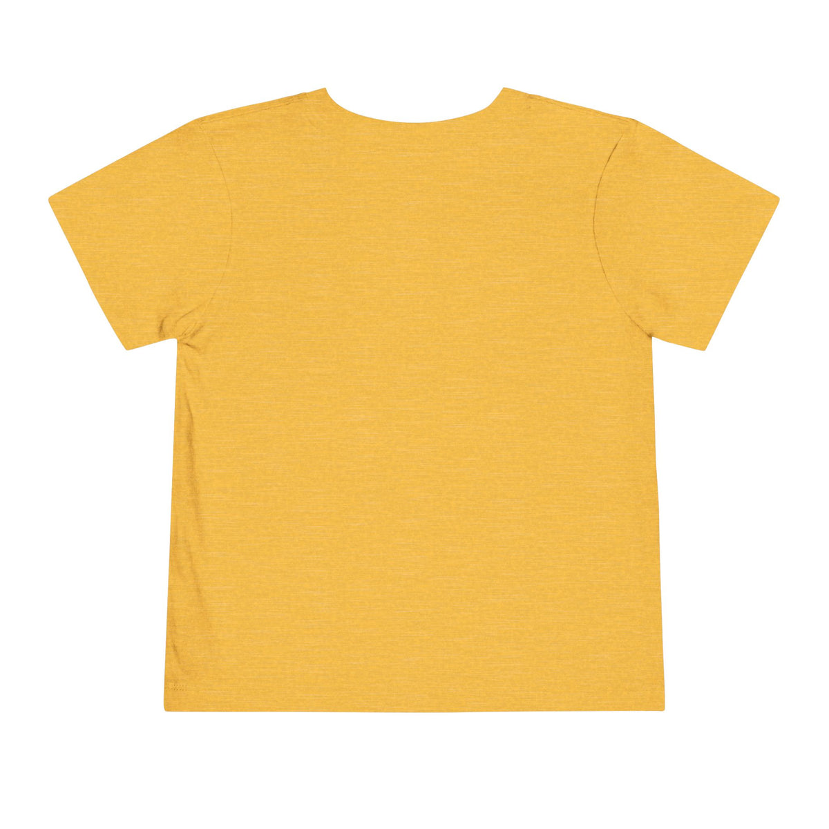 Toddler Tee — 'Brine Academy Est. 2026' Vintage School Kids Shirt