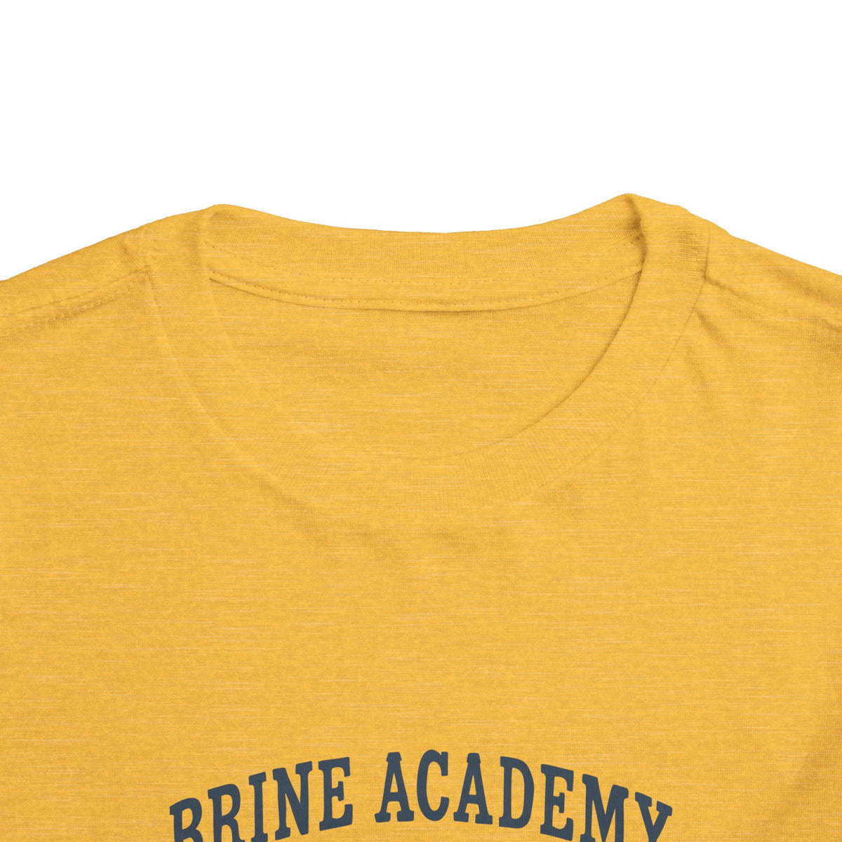 Toddler Tee — 'Brine Academy Est. 2026' Vintage School Kids Shirt
