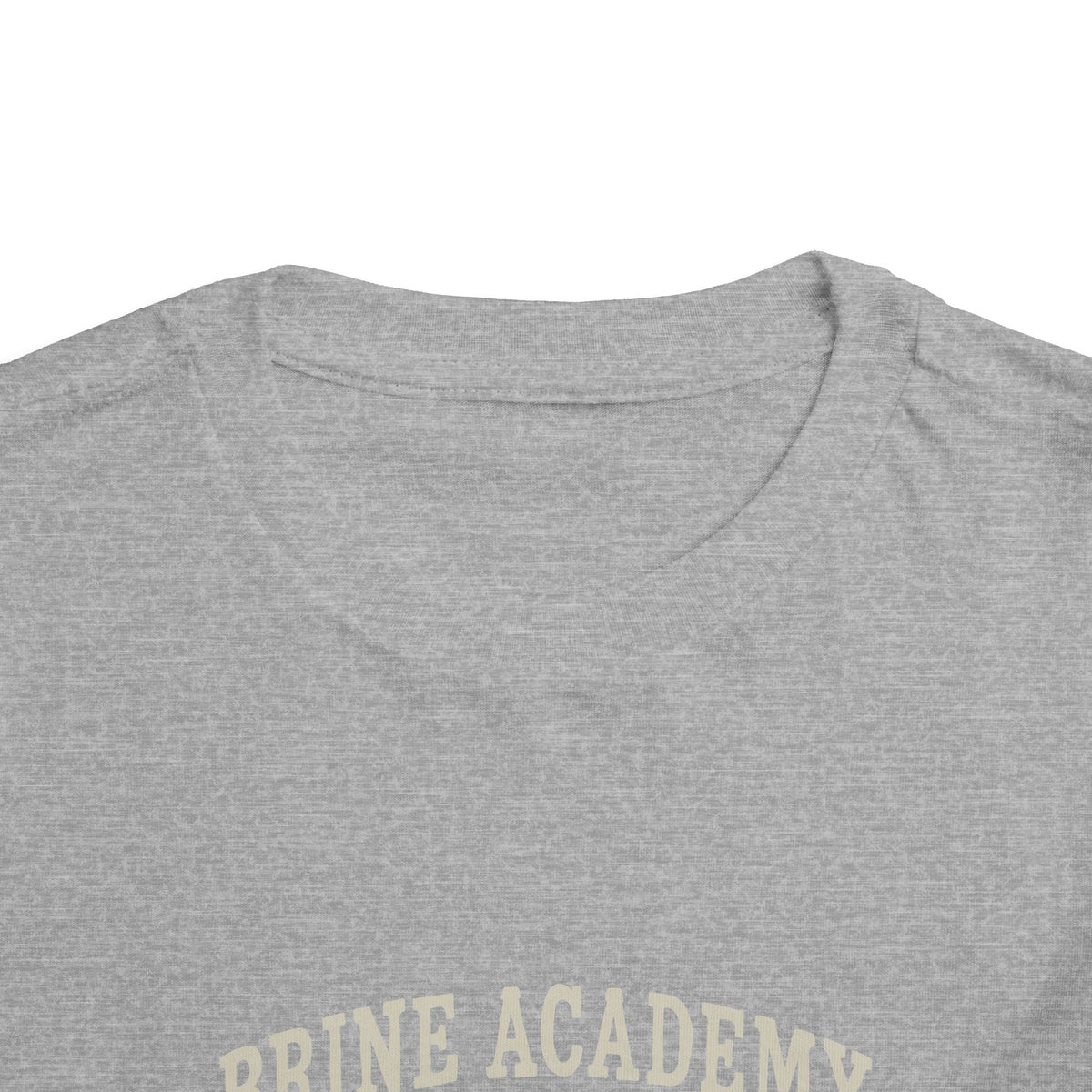Toddler Tee — 'Brine Academy Est. 2026' Vintage School Kids Shirt