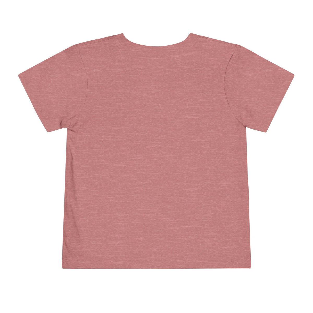Toddler Tee — 'Brine Academy Est. 2026' Vintage School Kids Shirt