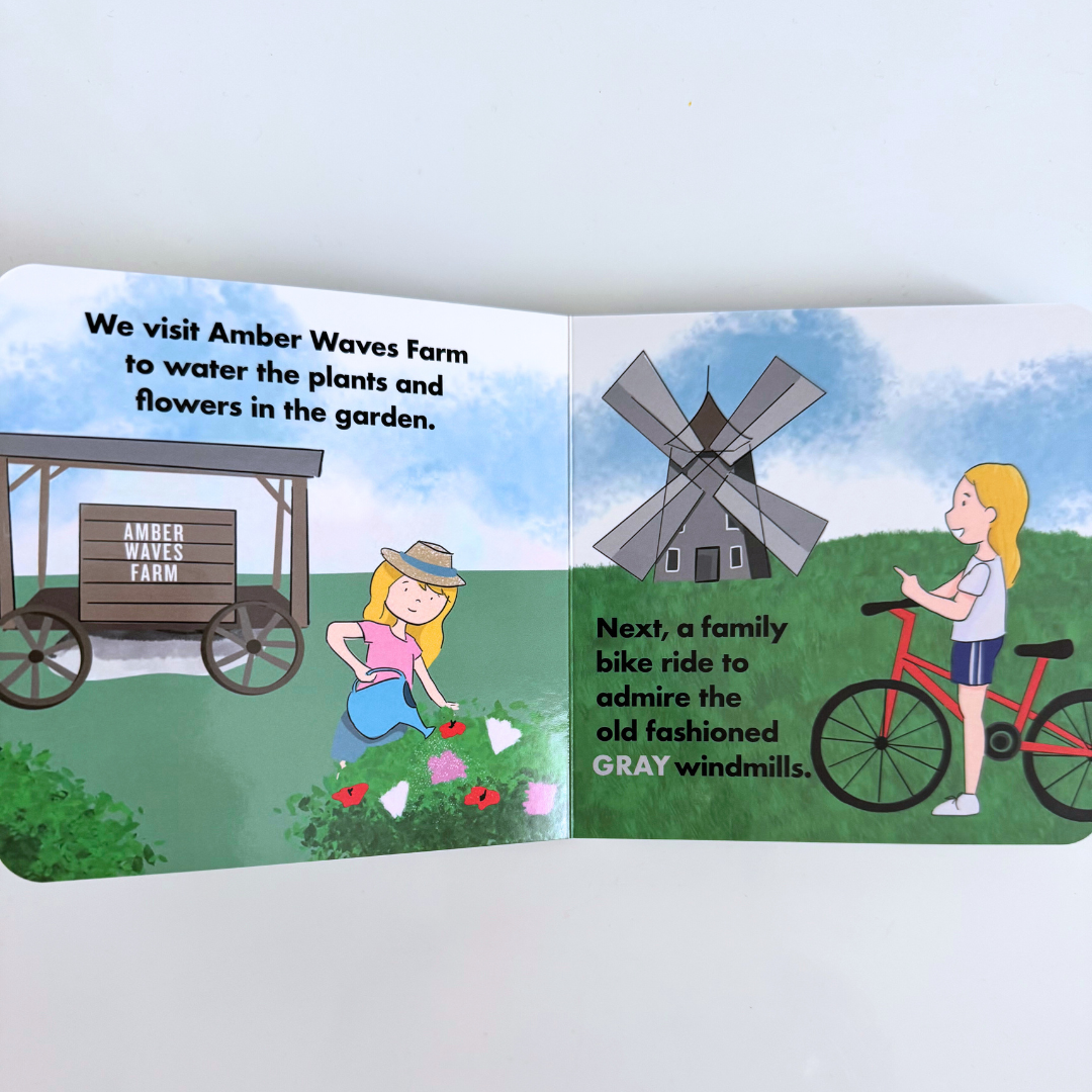 Hamptons Jet Set Baby Book