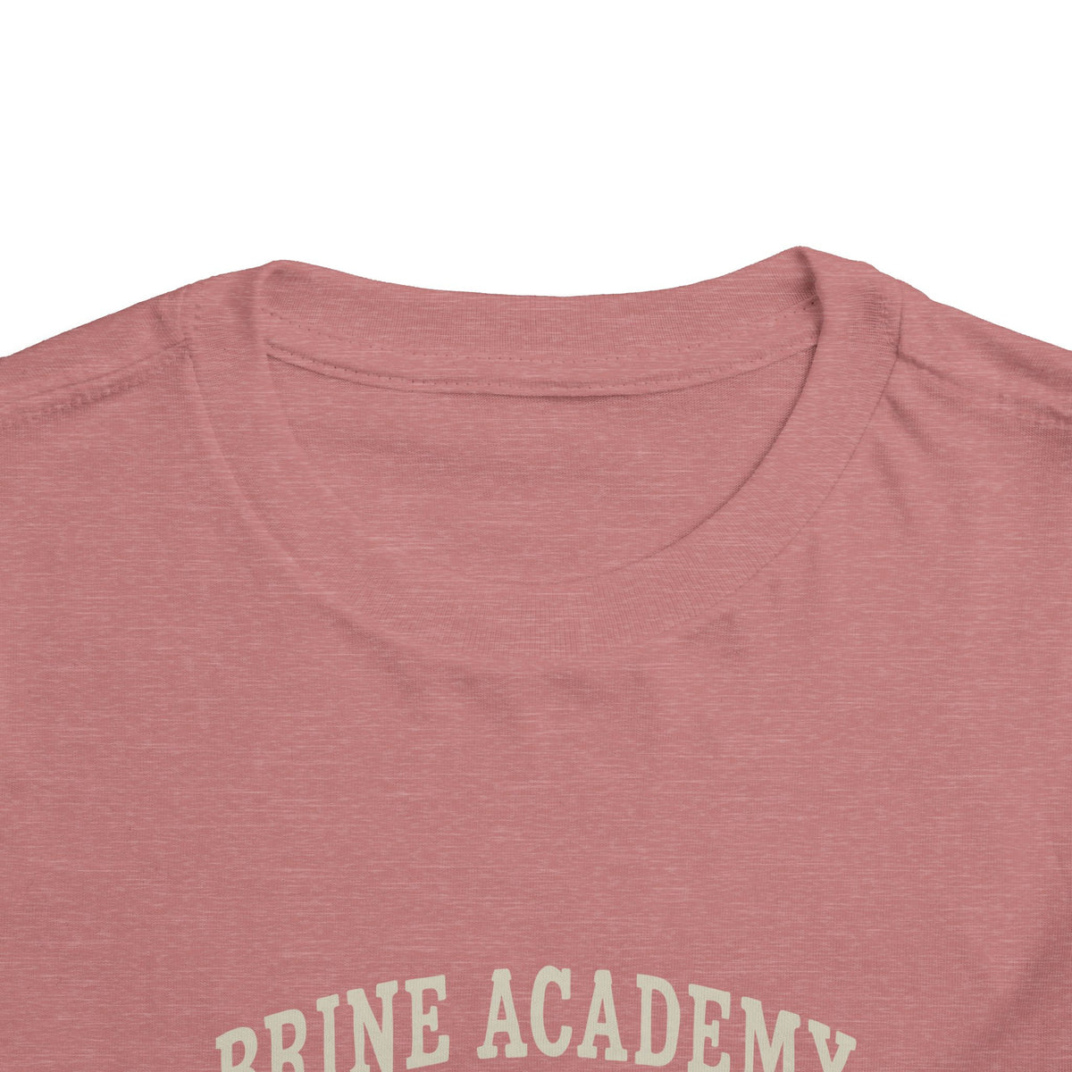 Toddler Tee — 'Brine Academy Est. 2026' Vintage School Kids Shirt