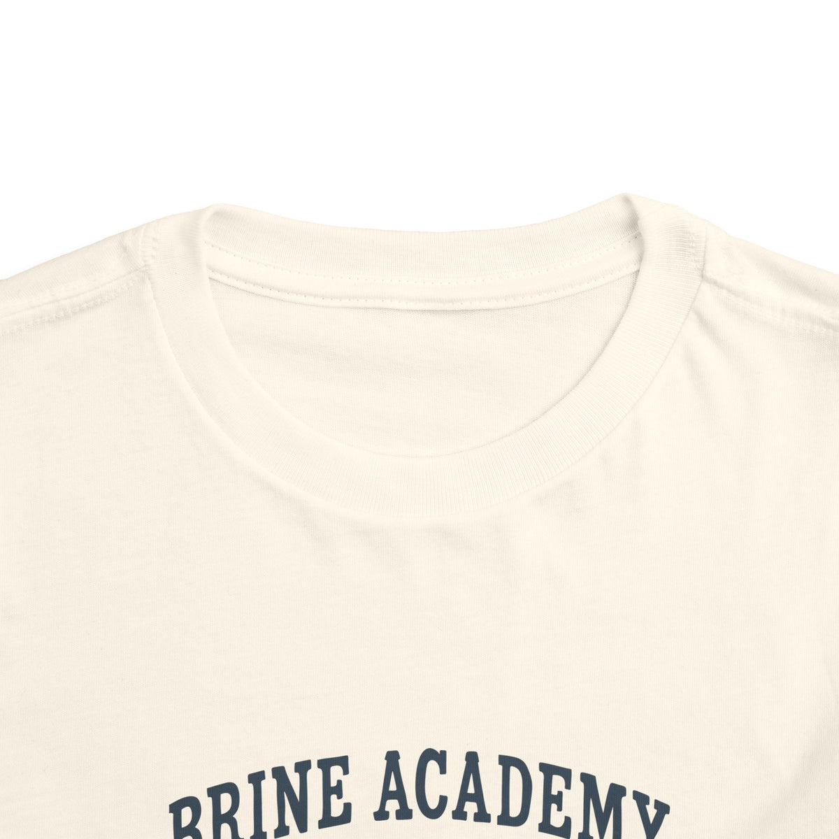 Toddler Tee — 'Brine Academy Est. 2026' Vintage School Kids Shirt