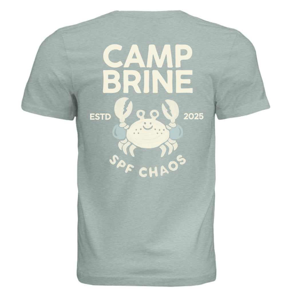 Dusty Blue Triblend - BACK