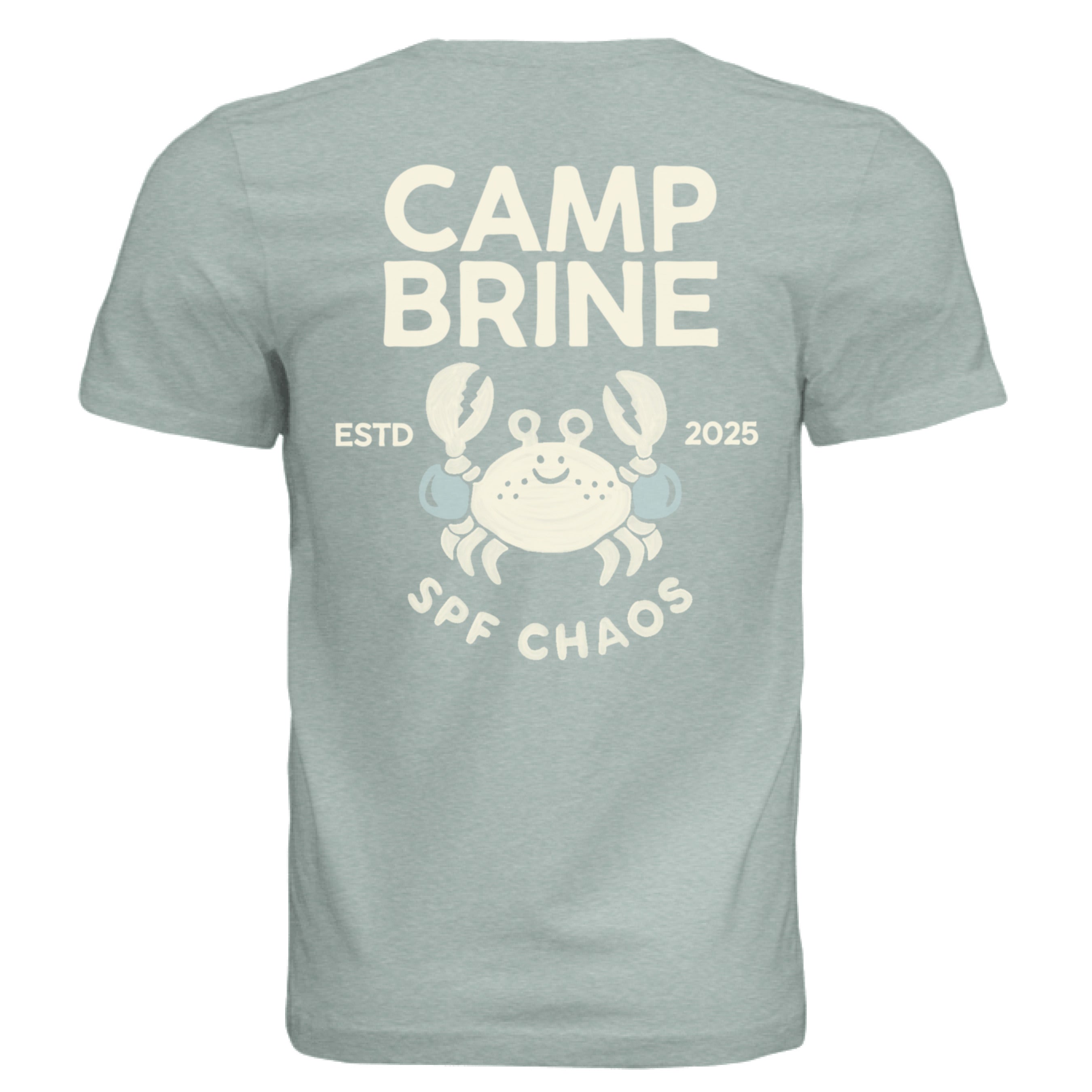 Dusty Blue Triblend - BACK