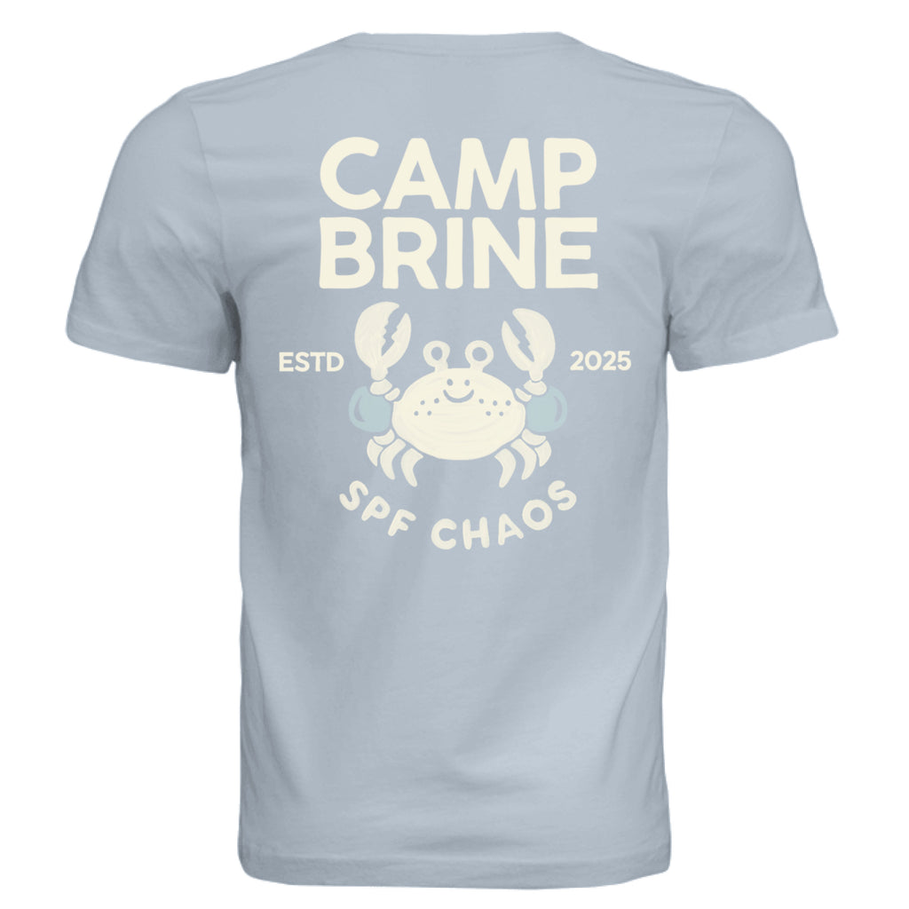 Solid Carolina Blue Triblend - BACK